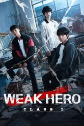 Weak-Hero-Class